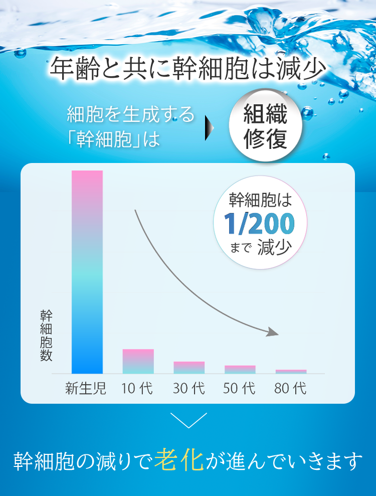 年齢と共に幹細胞は減少