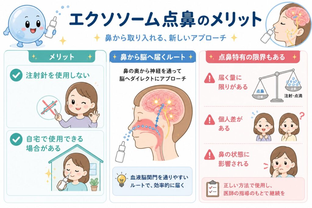 エクソソーム点鼻のメリットと注意点を、イラストを中心にわかりやすくまとめた図解。左側では、注射針を使わずに投与できることや、自宅で使用できる場合があることを、注射マークや点鼻スプレーを使う人物のイラストで表現している。中央では、鼻から取り入れた成分が鼻の奥から脳へ届くルートを模式図で示している。右側では、点鼻特有の限界として「届く量には限りがある」「個人差がある」「鼻の状態に影響される」ことを、天秤や人物、鼻のイラストを用いて説明し、正しい使用方法と医師の指導のもとで継続することが大切であることを示している。