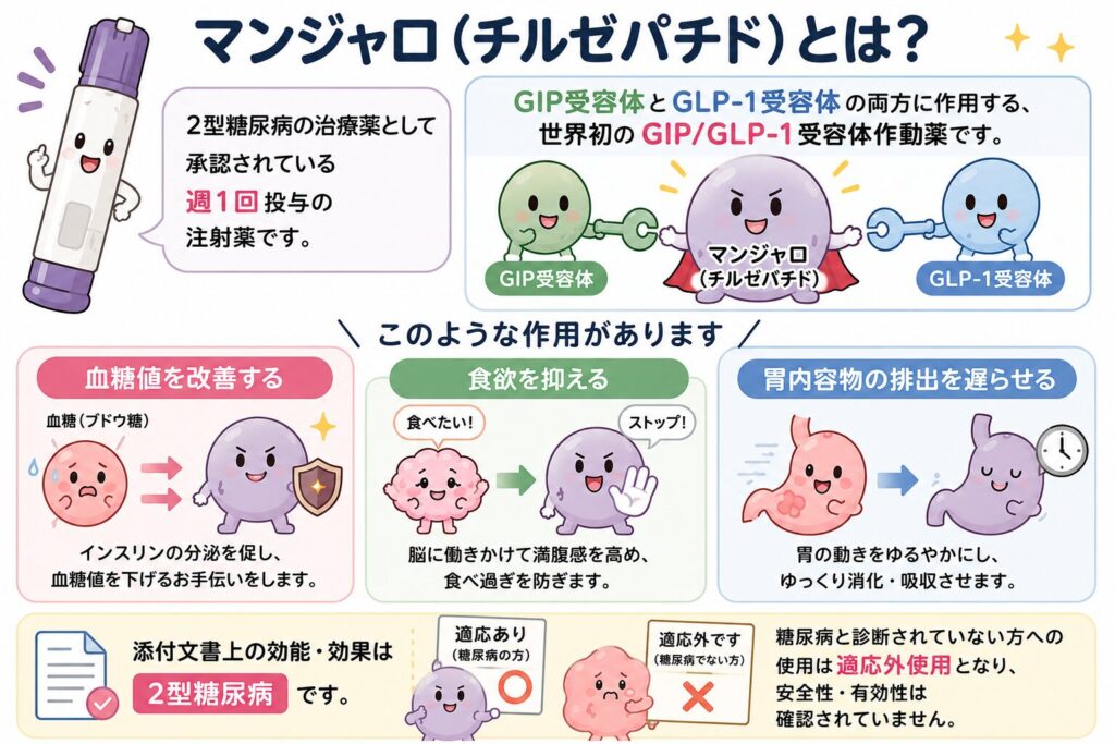 マンジャロ(チルゼパチド)の特徴と作用を、働く細胞風のキャラクターで解説したイラスト。2型糖尿病の治療薬として承認された週1回投与の注射薬であり、GIP受容体とGLP-1受容体の両方に作用することを示している。血糖値の改善、食欲の抑制、胃内容物の排出を遅らせる3つの作用をイラストでわかりやすく紹介し、糖尿病と診断されていない人への使用は適応外使用となることを説明している。