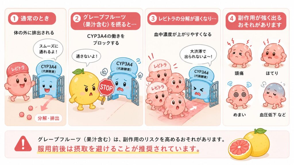 レビトラとグレープフルーツ（果汁含む）の飲み合わせを4コマ風で解説したイラスト。通常はCYP3A4（代謝酵素）がレビトラを分解・排出する様子、グレープフルーツがCYP3A4の働きを妨げる様子、レビトラが体内にとどまって血中濃度が上昇する様子、副作用（頭痛・ほてり・めまい・血圧低下など）のリスクが高まる様子を、かわいいキャラクターでわかりやすく表現した医療コラム用の図解。