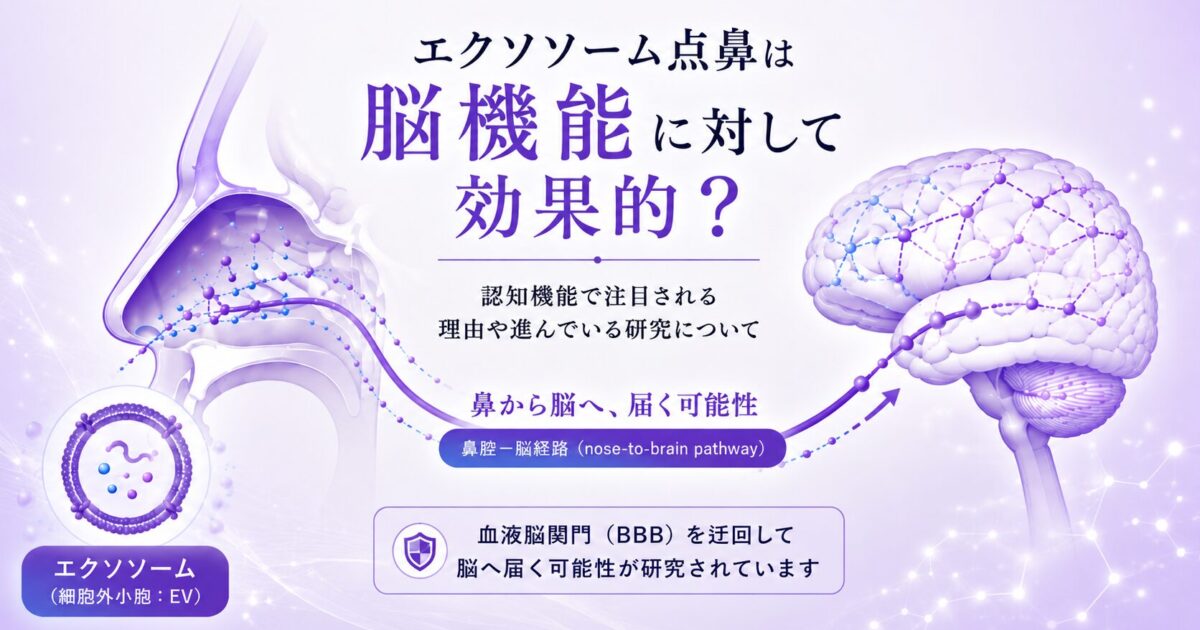 エクソソーム点鼻と脳機能の関係を示したイラスト。鼻腔から脳へつながる「鼻腔−脳経路（nose-to-brain pathway）」と、エクソソームが血液脳関門（BBB）を迂回して脳へ届く可能性が研究されていることを図解している。
