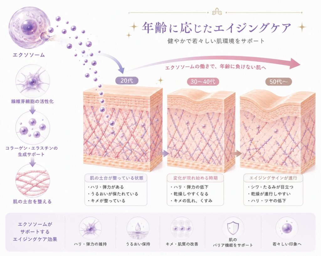 エクソソームを活用した年齢に応じたエイジングケアについて、20代・30〜40代・50代以降の肌の変化と、ハリ・弾力・うるおい・キメなどへの期待される働きをイラストで示した図。