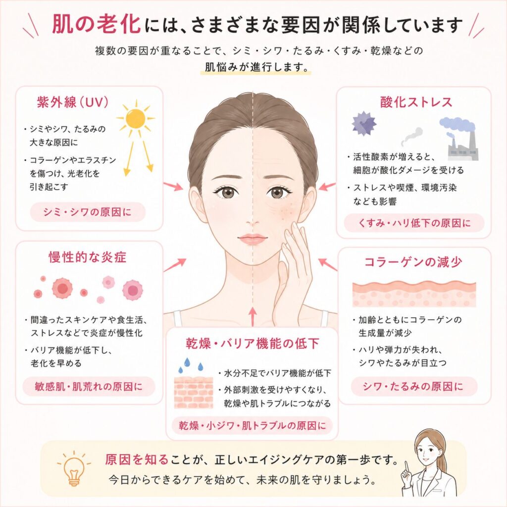 肌の老化に関わる主な要因として、紫外線、酸化ストレス、慢性的な炎症、コラーゲンの減少、乾燥・バリア機能の低下をイラストでわかりやすくまとめた図。
