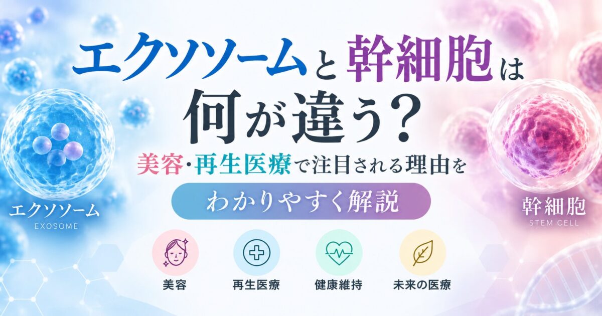 エクソソームと幹細胞の違いをイメージで比較した図。エクソソームは細胞間の情報伝達に関わる小さな細胞外小胞、幹細胞は自ら増殖・分化する生きた細胞として、美容や再生医療で研究されていることを示している。
