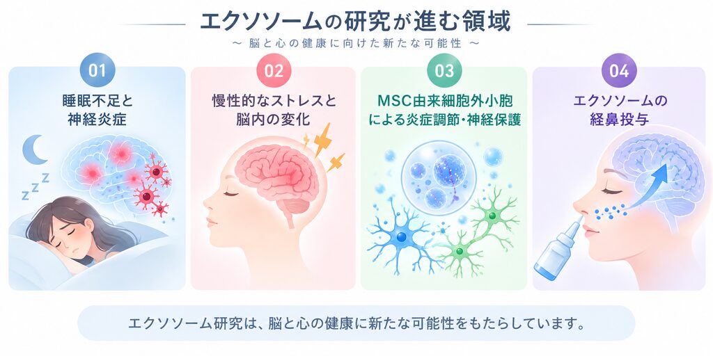 睡眠不足と神経炎症、慢性的なストレスと脳内の変化、MSC由来細胞外小胞による炎症調節・神経保護、エクソソームの経鼻投与について、4つのイラストで簡潔に示した図。