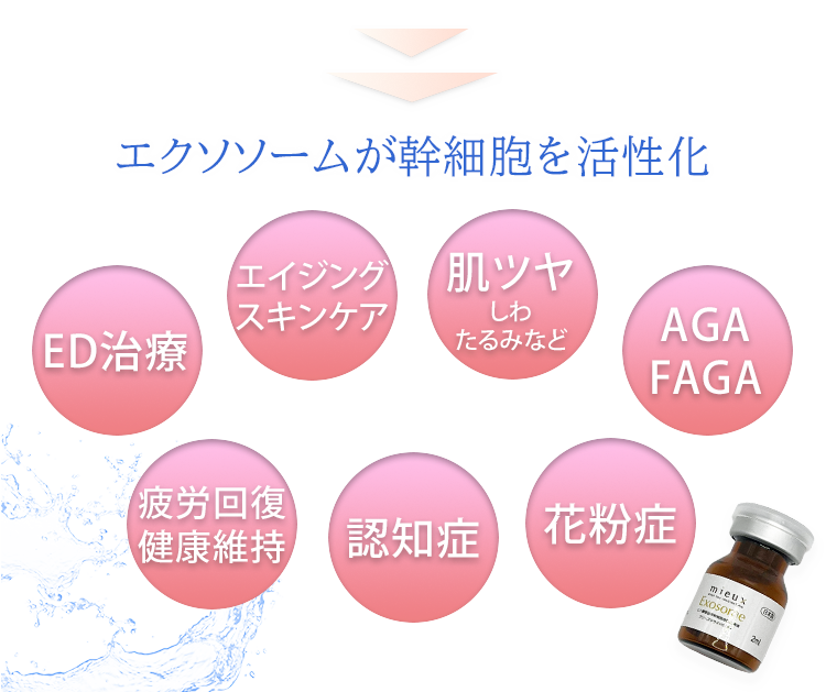 エクソソームが幹細胞を活性化