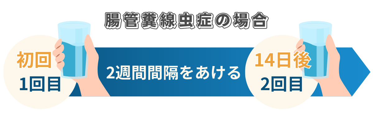 腸管糞線虫症の場合の飲み方